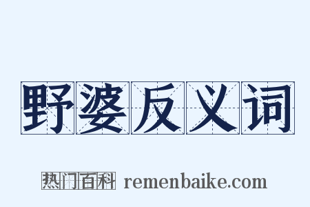 野婆反义词是什么意思的图片